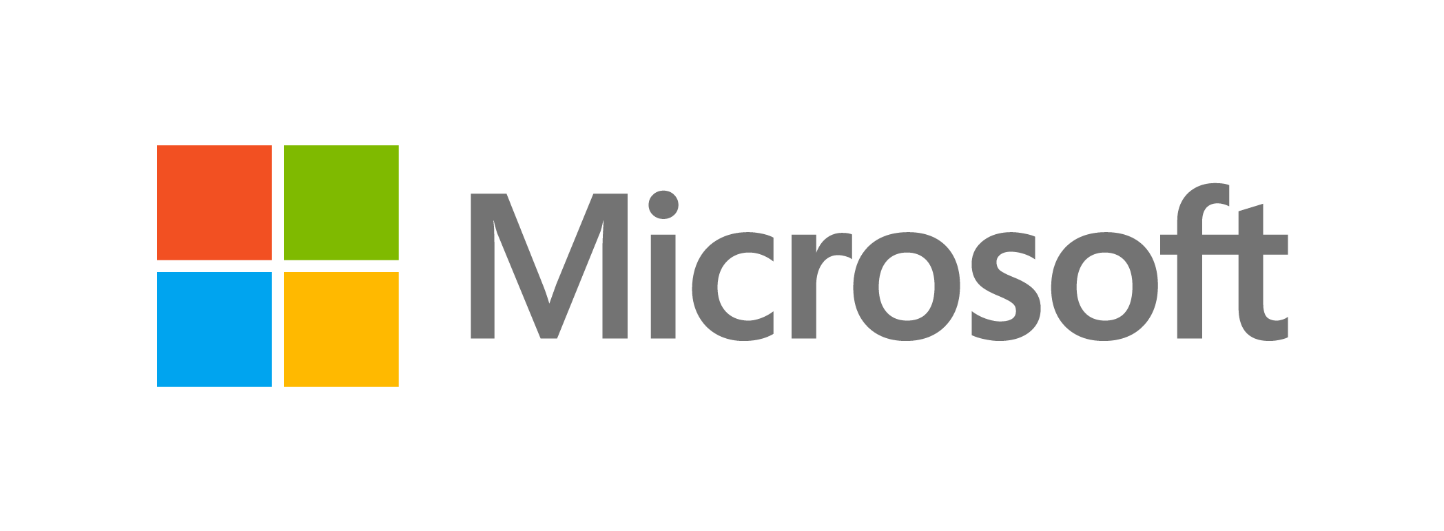 Logo Microsoft Partner